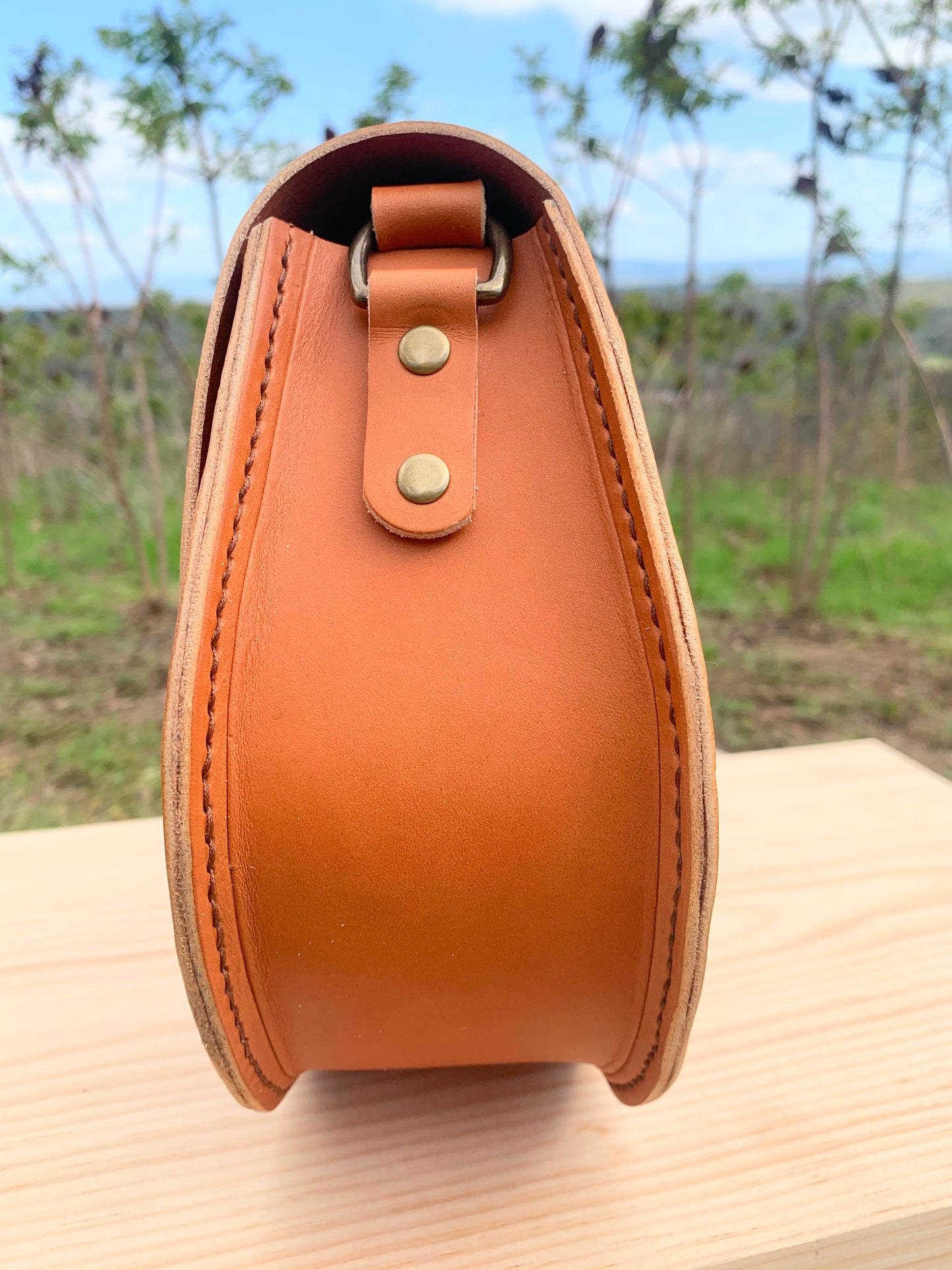 Tan Leather Saddlebag Crossbody