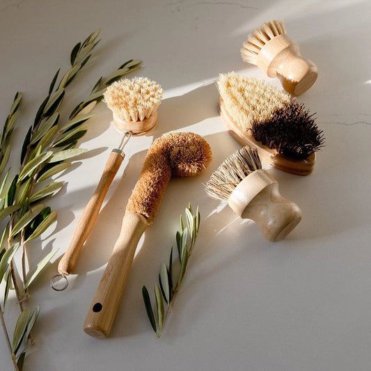 Dish Brush Kit (Zero Waste)