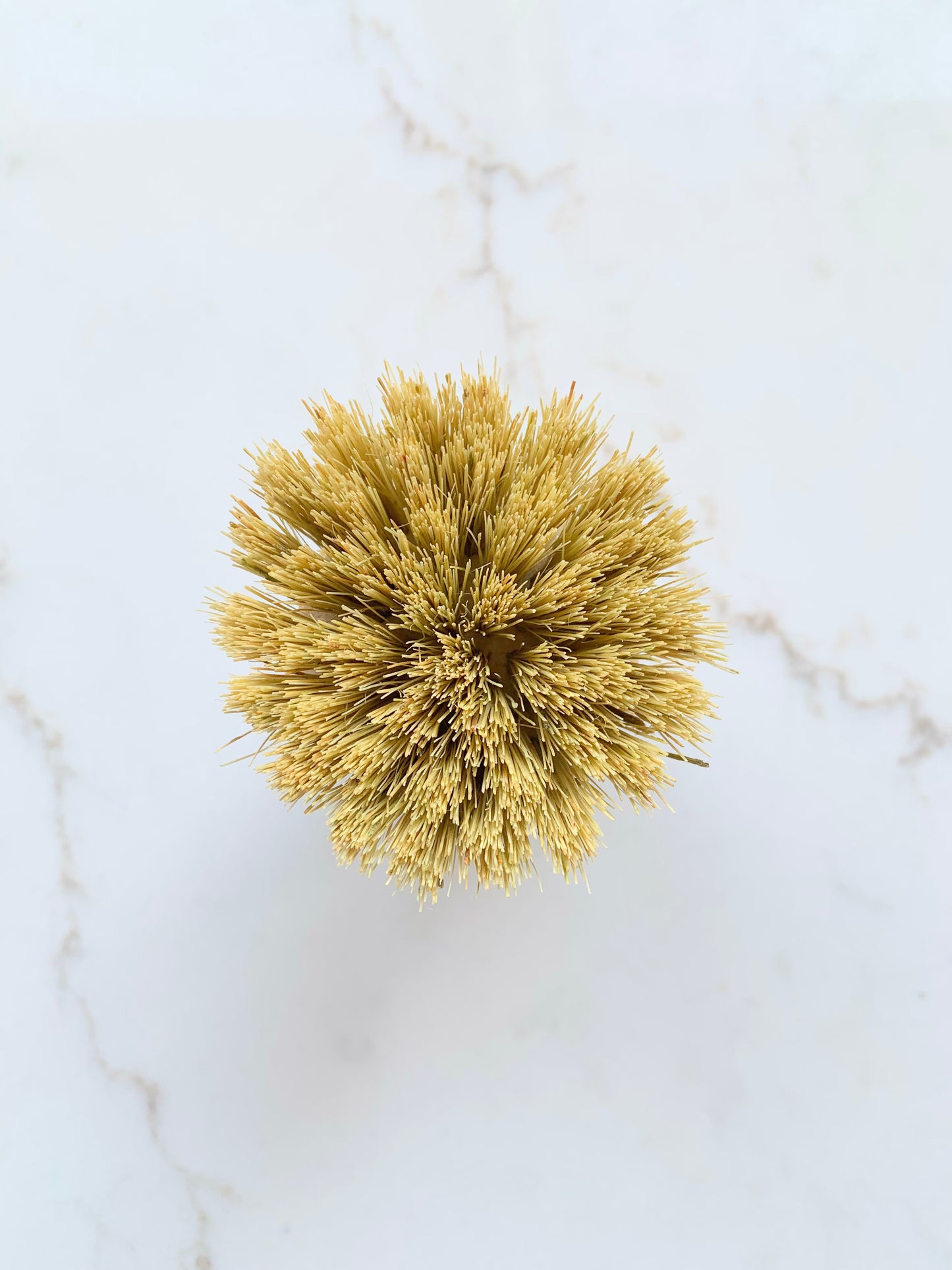 Short Handle Dish Brush