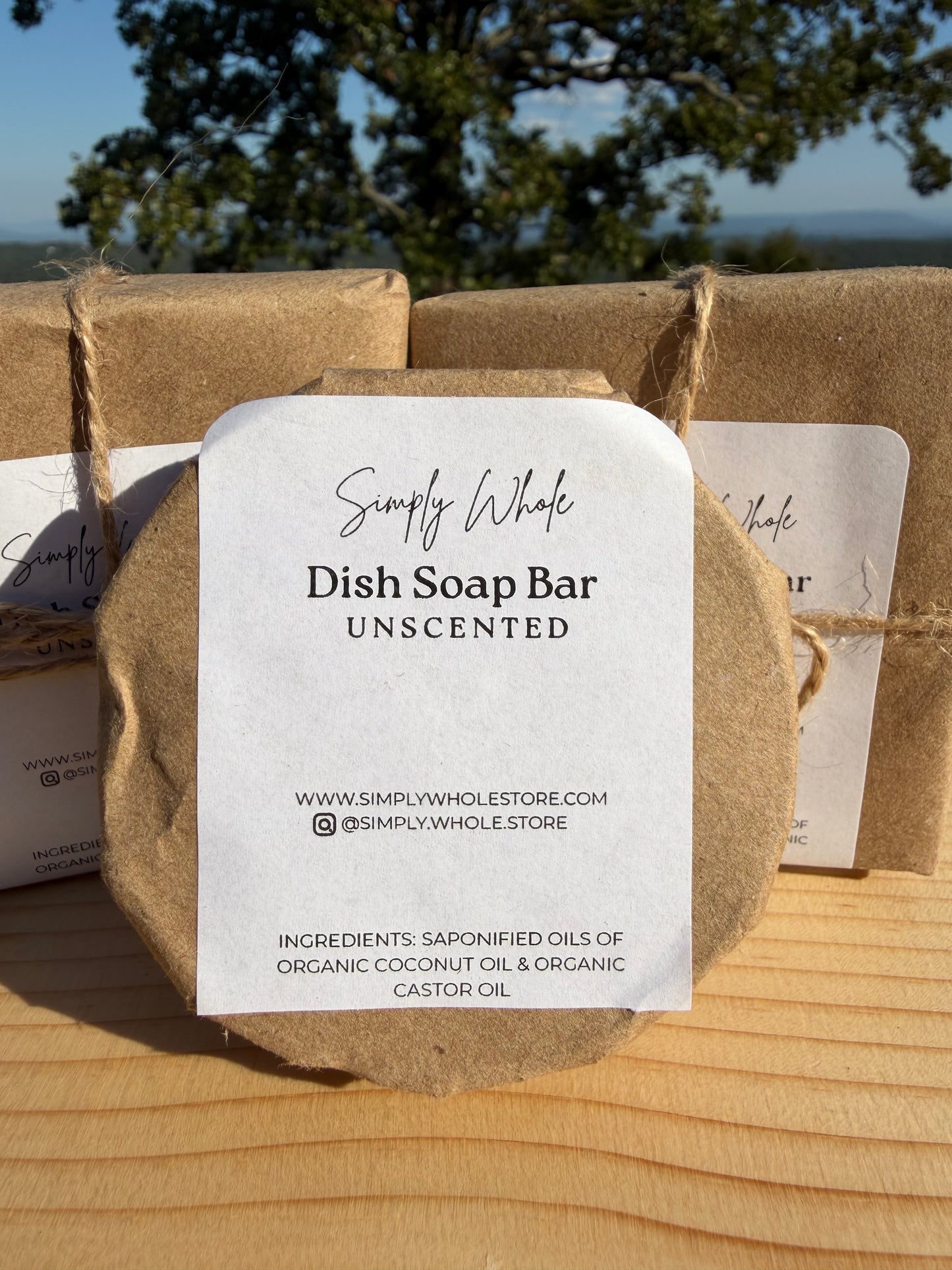 Dish Soap Bar