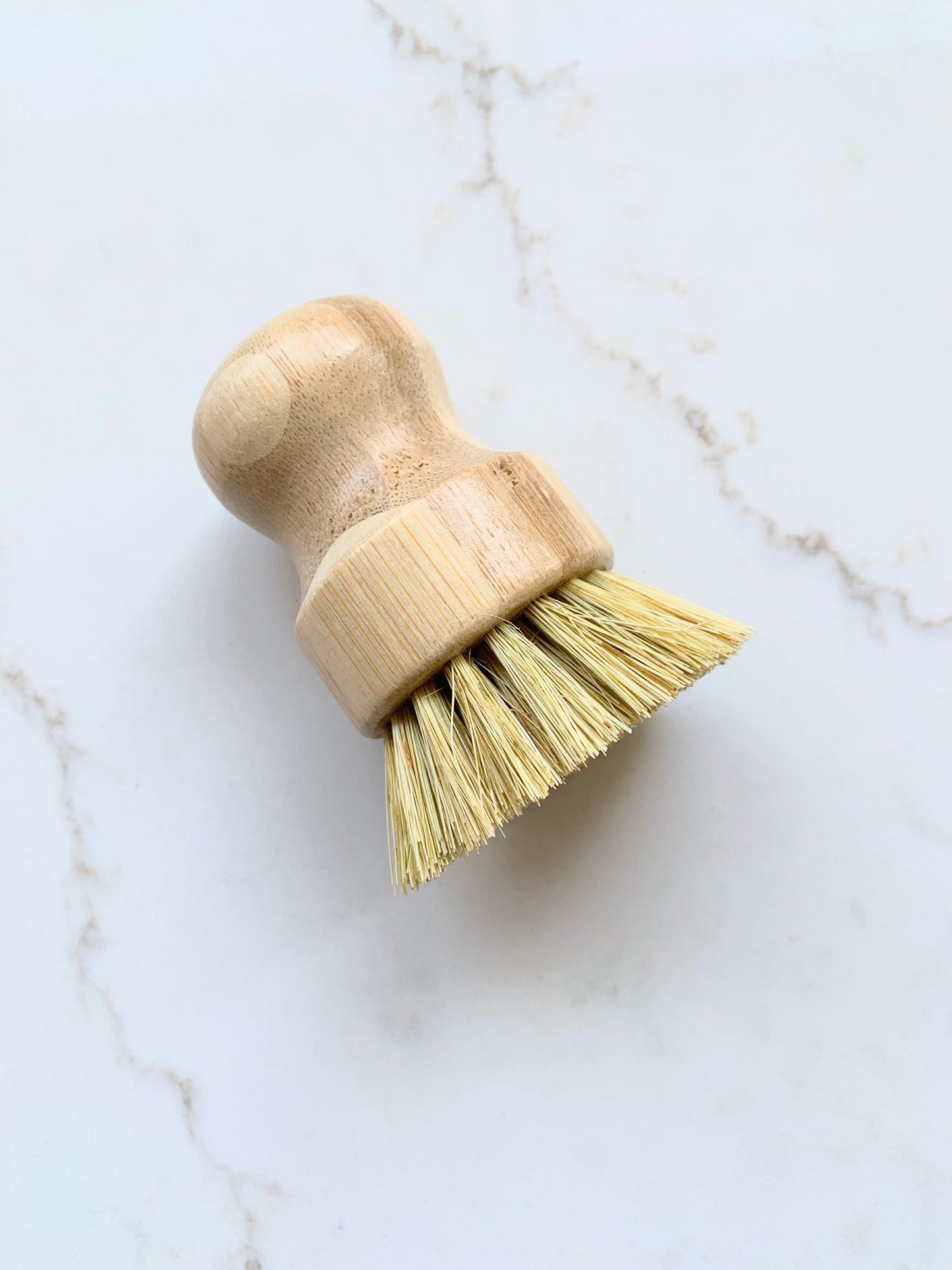 Short Handle Dish Brush